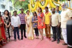 Pilavani Perantam Movie Opening - 103 of 178