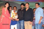 Pilla Nuvvuleni Jeevitham Audio Success Meet - 20 of 280