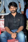Pilla Nuvvuleni Jeevitham Audio Success Meet - 30 of 280