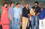 Pilla Nuvvuleni Jeevitham Audio Success Meet - 98 of 280
