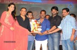 Pilla Nuvvuleni Jeevitham Audio Success Meet - 157 of 280