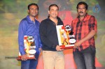 Pilla Nuvvuleni Jeevitham Audio Success Meet - 174 of 280
