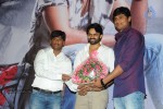 Pilla Nuvvuleni Jeevitham Success Meet 02 - 34 of 95