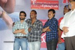 Pilla Nuvvuleni Jeevitham Success Meet 02 - 43 of 95