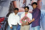 Pilla Nuvvuleni Jeevitham Success Meet 02 - 87 of 95