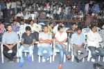Pilla Zamindar Movie Audio Launch - 55 of 66