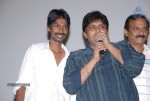 Pilla Zamindar Movie Success Meet - 28 of 115