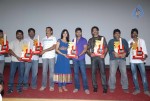 Pilla Zamindar Movie Success Meet - 38 of 115