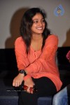 Pilla Zamindar Movie Success Meet - 29 of 45