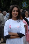 Pink Ribbon Walk 2010  - 184 of 229