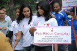 Pink Ribbon Walk 2010  - 208 of 229