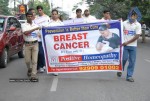 Pink Ribbon Walk 2010  - 216 of 229