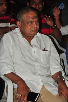 Pizza 2 Audio Launch Photos - 29 of 42