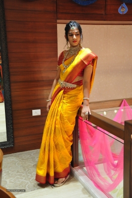 PMJ Jewellers Wedding Collection Launch At Vijayawada - 33 of 41
