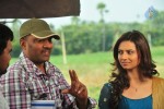 Poola Rangadu Movie Working Stills - 100 of 104
