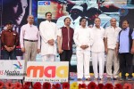 Prabhanjanam Audio Launch 01 - 44 of 147