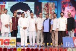 Prabhanjanam Audio Launch 01 - 52 of 147