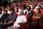 Prabhanjanam Audio Launch 01 - 104 of 147