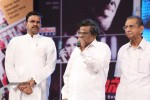 Prabhanjanam Audio Launch 01 - 139 of 147