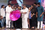 Prabhanjanam Audio Launch 02 - 98 of 108