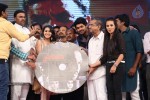 Prabhanjanam Audio Launch 02 - 103 of 108