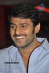 Prabhas New Movie Announcement Photos - 52 of 53