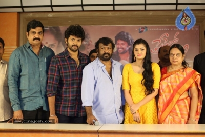 Prema Entha Pani Chese Narayana Movie Press Meet - 12 of 19
