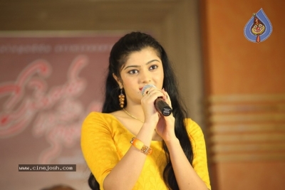 Prema Entha Pani Chese Narayana Movie Press Meet - 13 of 19