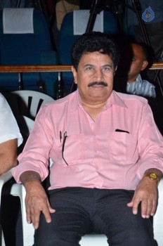 Prema Leela Pelli Gola Audio Launch - 53 of 63