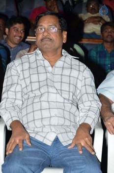 Premante Suluvu Kadura Audio Launch - 47 of 55