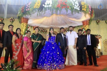 Prithvi Rajan Wedding Reception - 29 of 49