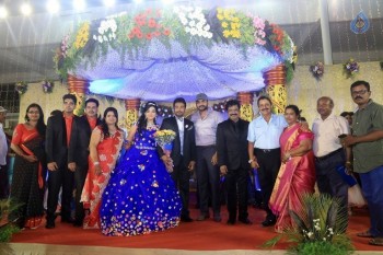 Prithvi Rajan Wedding Reception - 36 of 49