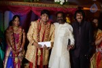 PRO Diamond Babu Son Wedding Reception - 7 of 126