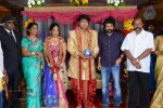 PRO Diamond Babu Son Wedding Reception - 53 of 126