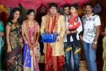 PRO Diamond Babu Son Wedding Reception - 61 of 126