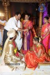 Producer Giri Daughter Wedding photos - 100 of 138