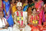Producer Giri Daughter Wedding photos - 103 of 138
