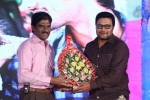 Pyar Mein Padipoyane Audio Launch 02 - 117 of 220