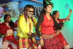 Ra Ra Krishnayya Audio Launch 03 - 189 of 208
