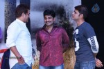 Race Gurram Success Meet 01 - 191 of 328