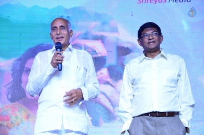 Radha Movie Pre Release Event 2 - 13 of 42