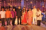 Raghavendra Rao Son Wedding Reception 01 - 24 of 243