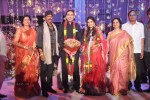Raghavendra Rao Son Wedding Reception 01 - 30 of 243