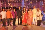 Raghavendra Rao Son Wedding Reception 01 - 33 of 243
