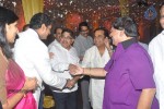 Raghavendra Rao Son Wedding Reception 01 - 36 of 243