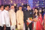 Raghavendra Rao Son Wedding Reception 01 - 112 of 243