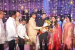 Raghavendra Rao Son Wedding Reception 01 - 128 of 243