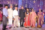 Raghavendra Rao Son Wedding Reception 01 - 215 of 243