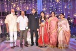 Raghavendra Rao Son Wedding Reception 01 - 230 of 243