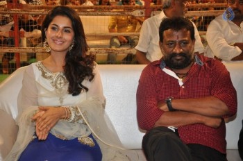 Raja Cheyyi Vesthe Audio Launch 1 - 25 of 158